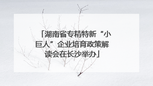 湖南省专精特新“小巨人”企业培育政策解读会在长沙举办