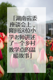 湖南省委座谈会上，隆回这位小学老师讲述了一个乡村教学点的温暖故事