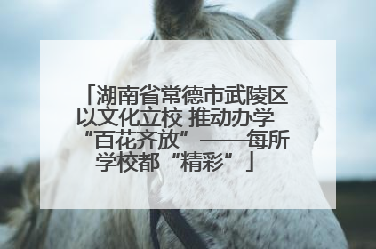 湖南省常德市武陵区以文化立校 推动办学“百花齐放”——每所学校都“精彩”