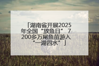 湖南省开展2025年全国“放鱼日” 7200多万尾鱼苗游入“一湖四水”