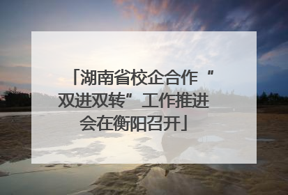 湖南省校企合作“双进双转”工作推进会在衡阳召开