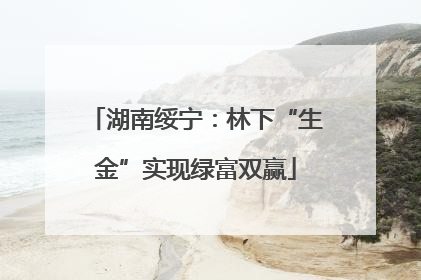 湖南绥宁：林下“生金”实现绿富双赢