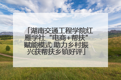 湖南交通工程学院红雁学社“电商+帮扶”赋能模式 助力乡村振兴获帮扶乡镇好评