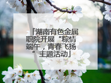 湖南有色金属职院开展“粽情端午，青春飞扬”主题活动