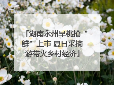 湖南永州早桃抢“鲜”上市 夏日采摘游带火乡村经济