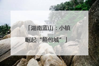 湖南蓝山：小镇崛起“箱包城”