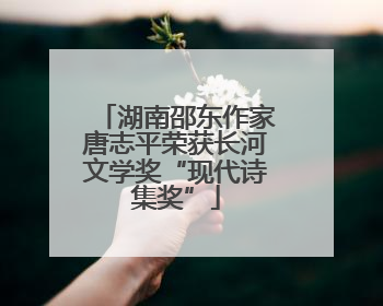 湖南邵东作家唐志平荣获长河文学奖“现代诗集奖”