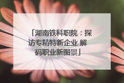 湖南铁科职院：探访专精特新企业 解码职业新图景
