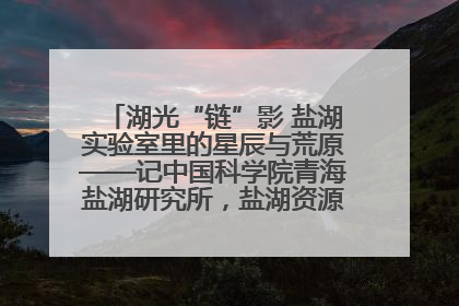 湖光“链”影 盐湖实验室里的星辰与荒原——记中国科学院青海盐湖研究所，盐湖资源化学实验室党总支书记、副主任刘忠