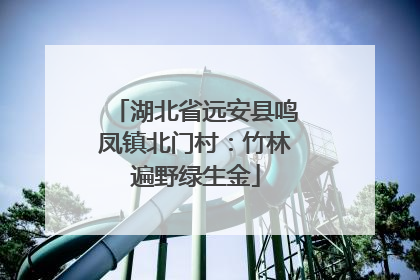 湖北省远安县鸣凤镇北门村：竹林遍野绿生金