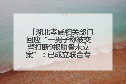湖北孝感相关部门回应“一男子称被交警打断9根肋骨未立案”：已成立联合专班开展工作
