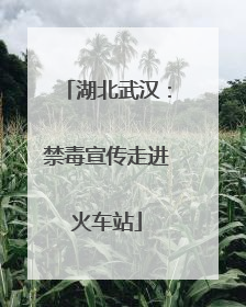 湖北武汉：禁毒宣传走进火车站