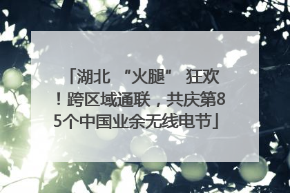 湖北 “火腿” 狂欢！跨区域通联，共庆第85个中国业余无线电节