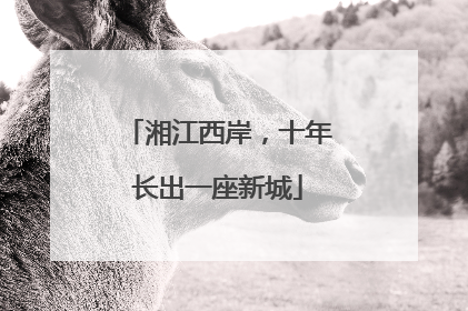 湘江西岸，十年长出一座新城