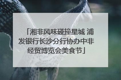 湘非风味碰撞星城 浦发银行长沙分行协办中非经贸博览会美食节