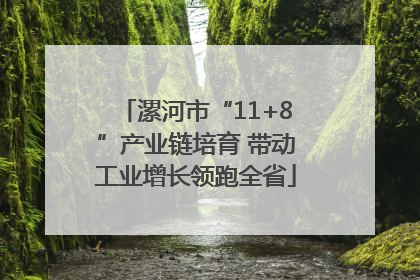 漯河市“11+8”产业链培育 带动工业增长领跑全省