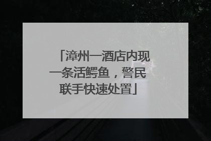 漳州一酒店内现一条活鳄鱼，警民联手快速处置