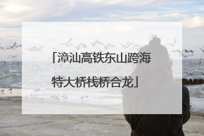 漳汕高铁东山跨海特大桥栈桥合龙