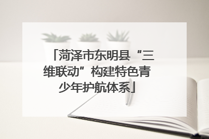 菏泽市东明县“三维联动”构建特色青少年护航体系