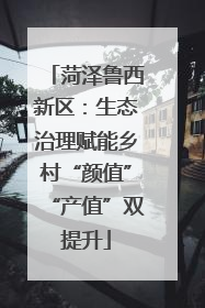 菏泽鲁西新区：生态治理赋能乡村“颜值”“产值”双提升