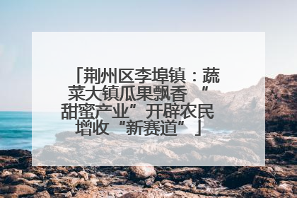 荆州区李埠镇：蔬菜大镇瓜果飘香 “甜蜜产业”开辟农民增收“新赛道”