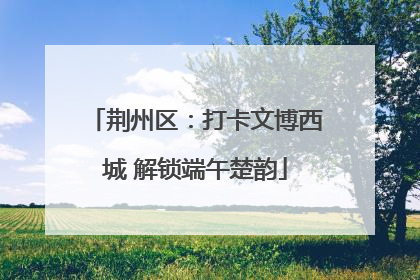 荆州区：打卡文博西城 解锁端午楚韵