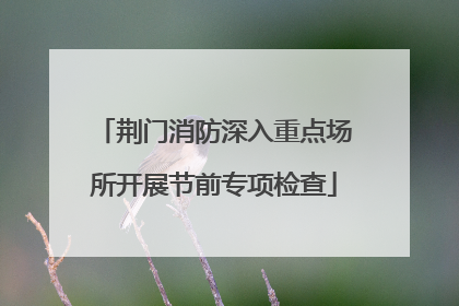荆门消防深入重点场所开展节前专项检查