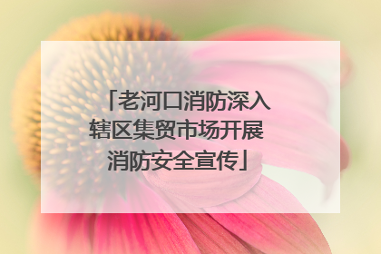老河口消防深入辖区集贸市场开展消防安全宣传