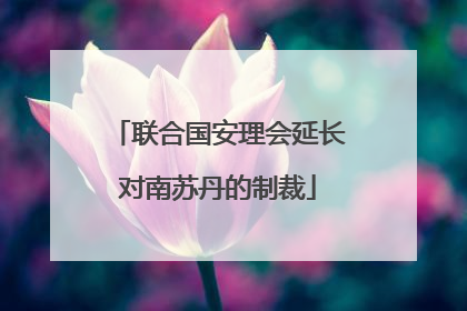 联合国安理会延长对南苏丹的制裁