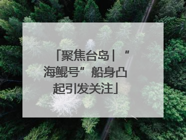 聚焦台岛│“海鲲号”船身凸起引发关注