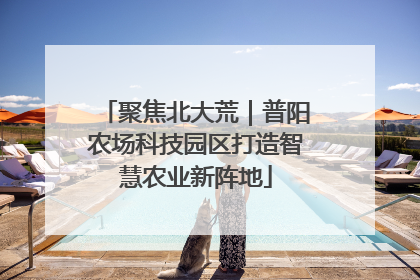 聚焦北大荒｜普阳农场科技园区打造智慧农业新阵地