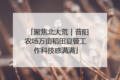 聚焦北大荒｜普阳农场万亩稻田夏管工作科技感满满