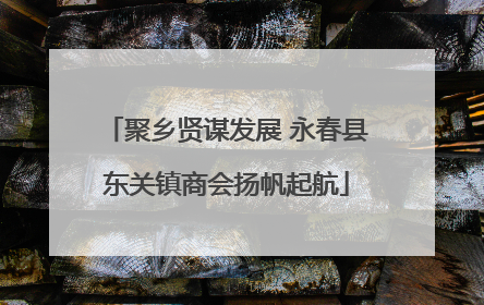 聚乡贤谋发展 永春县东关镇商会扬帆起航