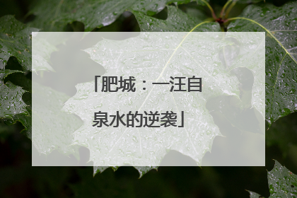 肥城：一汪自泉水的逆袭