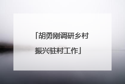 胡勇刚调研乡村振兴驻村工作