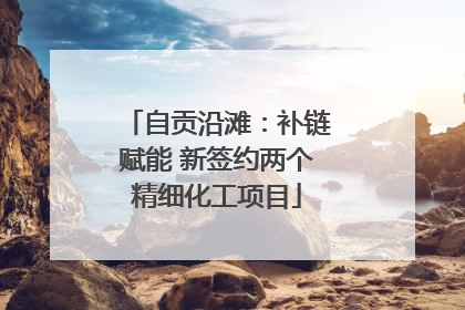 自贡沿滩：补链赋能 新签约两个精细化工项目