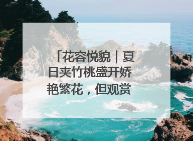 花容悦貌｜夏日夹竹桃盛开娇艳繁花，但观赏时“碰不得”