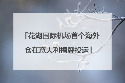 花湖国际机场首个海外仓在意大利揭牌投运