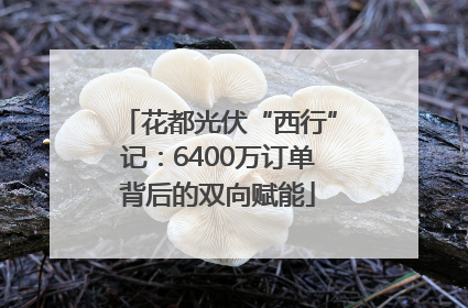 花都光伏“西行”记：6400万订单背后的双向赋能