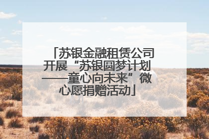 苏银金融租赁公司开展“苏银圆梦计划——童心向未来”微心愿捐赠活动