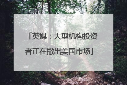 英媒：大型机构投资者正在撤出美国市场