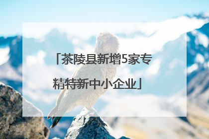 茶陵县新增5家专精特新中小企业