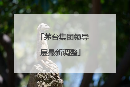 茅台集团领导层最新调整