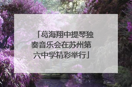 葛海翔中提琴独奏音乐会在苏州第六中学精彩举行