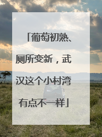 葡萄初熟、厕所变新，武汉这个小村湾有点不一样