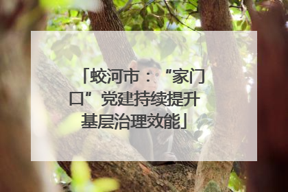 蛟河市：“家门口”党建持续提升基层治理效能