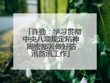 许勤：学习贯彻中央八项规定精神 周密部署做好防汛备汛工作