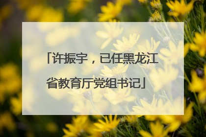 许振宇，已任黑龙江省教育厅党组书记