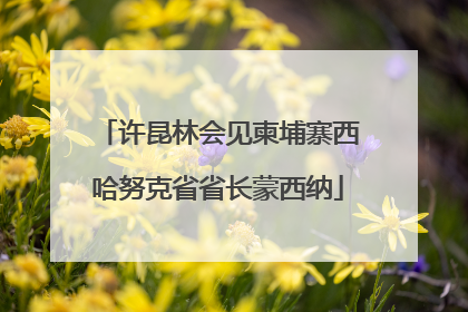 许昆林会见柬埔寨西哈努克省省长蒙西纳