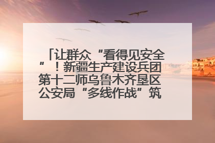 让群众“看得见安全”！新疆生产建设兵团第十二师乌鲁木齐垦区公安局“多线作战”筑牢辖区安全防线